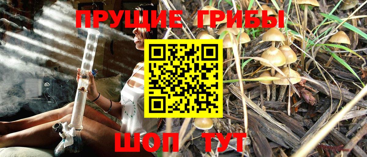 Галлюциногенные грибы Cubensis  Вход с VPN  Череповец 